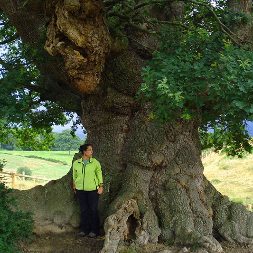 Naturaleza Arraitz-Orkin