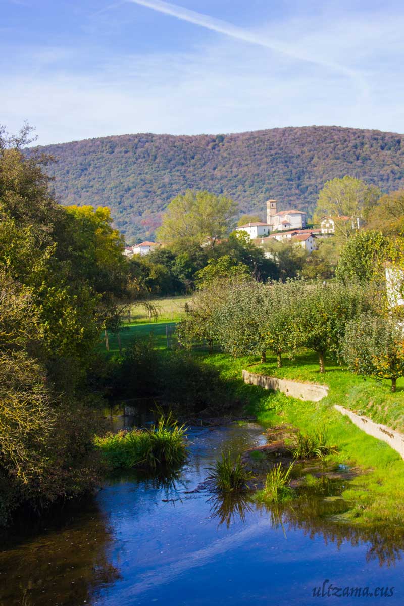 Naturaleza Gorrontz-Olano