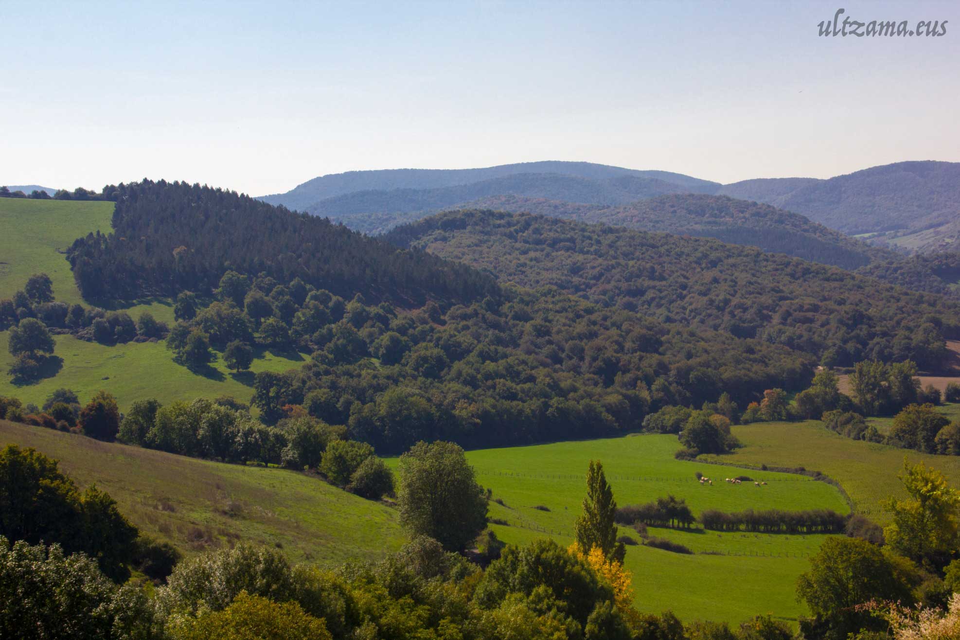 Naturaleza Urritzola-Galain